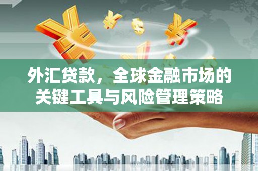武隆外汇贷款，全球金融市场的关键工具与风险管理策略
