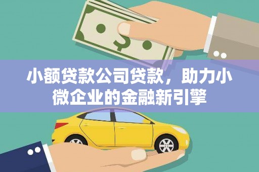 武隆小额贷款公司贷款，助力小微企业的金融新引擎