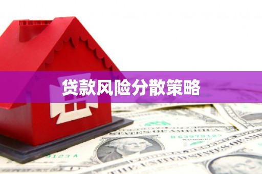 武隆贷款风险分散策略