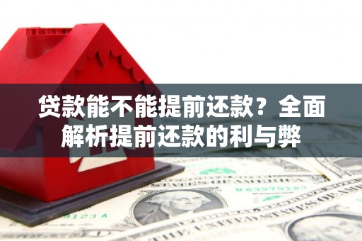 武隆贷款能不能提前还款？全面解析提前还款的利与弊