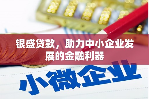 武隆银盛贷款，助力中小企业发展的金融利器
