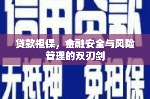 武隆贷款担保，金融安全与风险管理的双刃剑