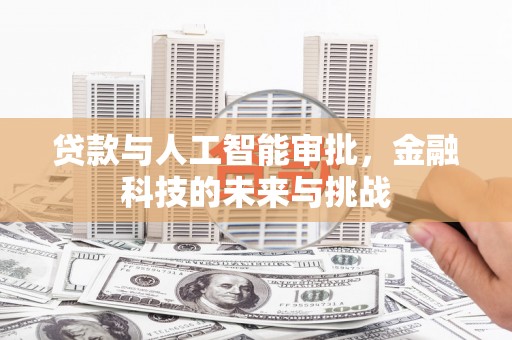 武隆贷款与人工智能审批，金融科技的未来与挑战