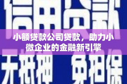 武隆小额贷款公司贷款，助力小微企业的金融新引擎