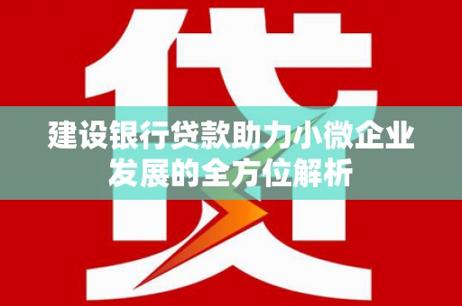 武隆建设银行贷款助力小微企业发展的全方位解析