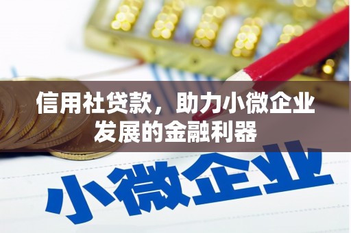 武隆信用社贷款，助力小微企业发展的金融利器