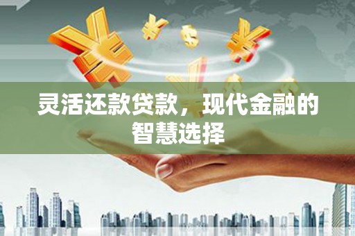 武隆灵活还款贷款，现代金融的智慧选择
