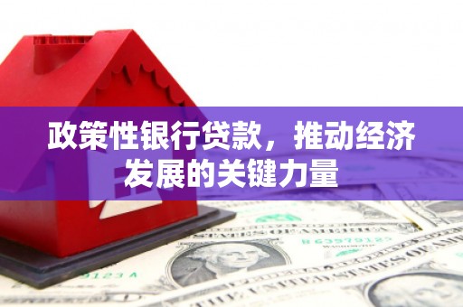 武隆政策性银行贷款，推动经济发展的关键力量