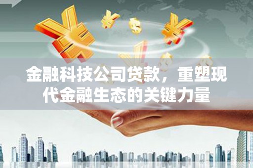 武隆金融科技公司贷款，重塑现代金融生态的关键力量