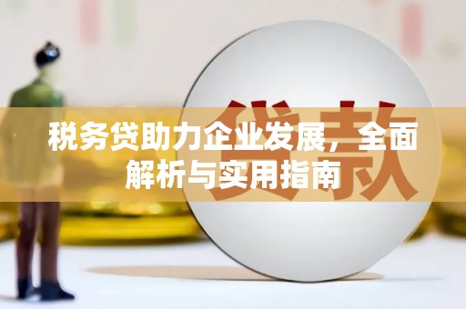 武隆税务贷助力企业发展，全面解析与实用指南