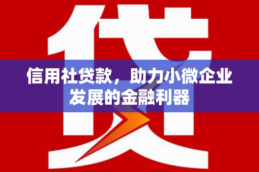 武隆信用社贷款，助力小微企业发展的金融利器