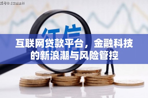 武隆互联网贷款平台，金融科技的新浪潮与风险管控