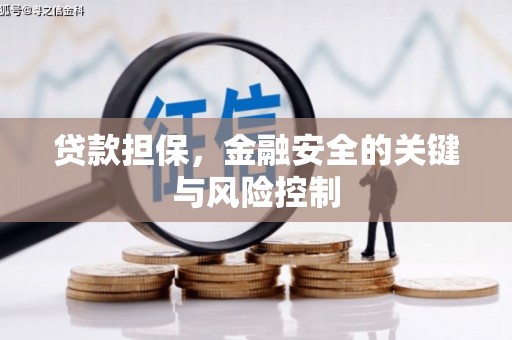 武隆贷款担保，金融安全的关键与风险控制
