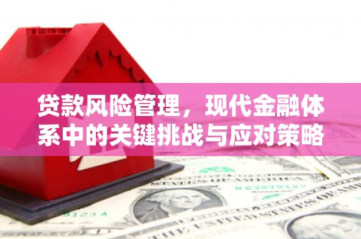 武隆贷款风险管理，现代金融体系中的关键挑战与应对策略