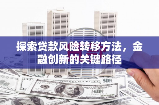 武隆探索贷款风险转移方法，金融创新的关键路径