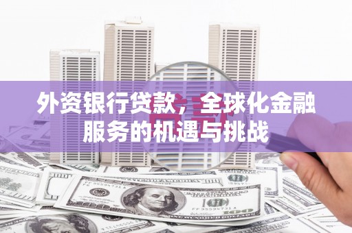 武隆外资银行贷款，全球化金融服务的机遇与挑战