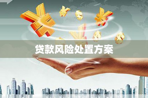 武隆贷款风险处置方案