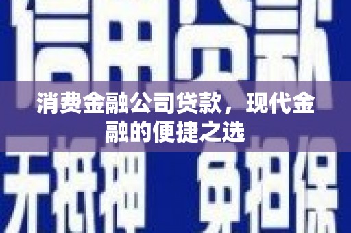 武隆消费金融公司贷款，现代金融的便捷之选