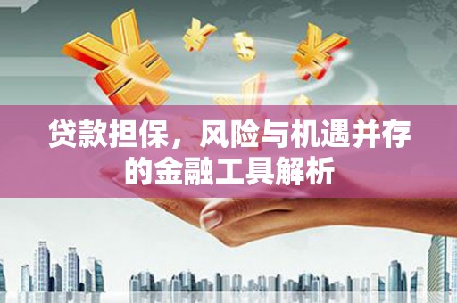 武隆贷款担保，风险与机遇并存的金融工具解析