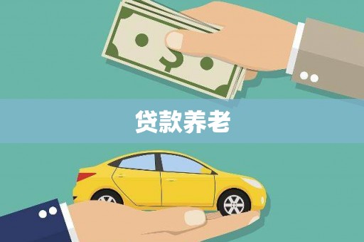 武隆贷款养老