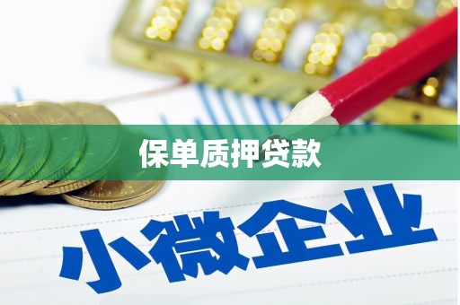 武隆保单质押贷款