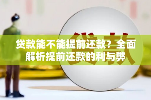 武隆贷款能不能提前还款？全面解析提前还款的利与弊