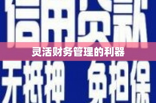 武隆灵活财务管理的利器