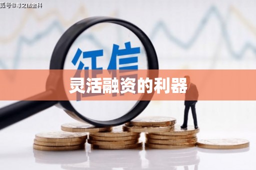 武隆灵活融资的利器