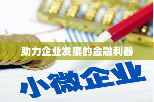 武隆助力企业发展的金融利器