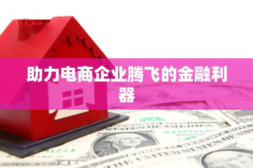 武隆助力电商企业腾飞的金融利器