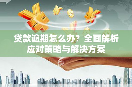 武隆贷款逾期怎么办？全面解析应对策略与解决方案