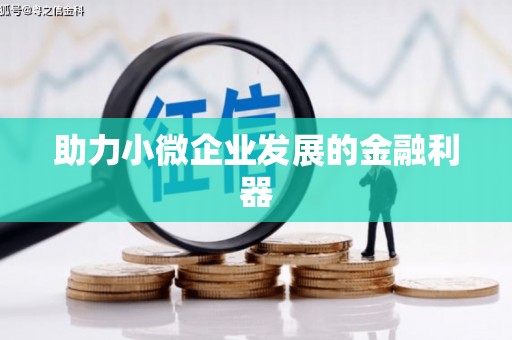 武隆助力小微企业发展的金融利器