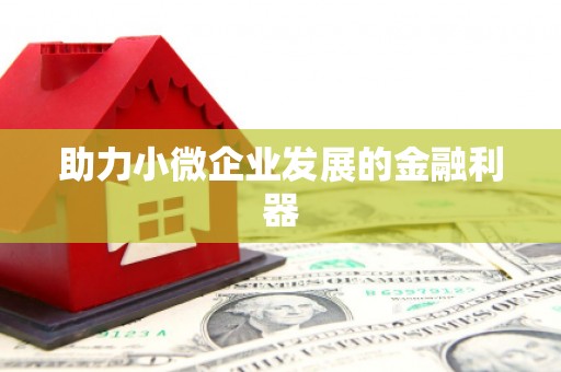 武隆助力小微企业发展的金融利器
