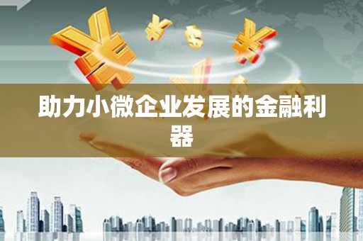 武隆助力小微企业发展的金融利器