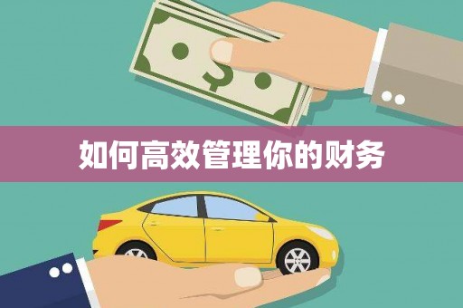武隆如何高效管理你的财务