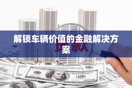 武隆解锁车辆价值的金融解决方案