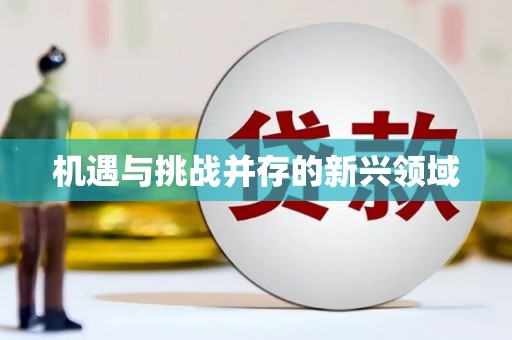 武隆机遇与挑战并存的新兴领域