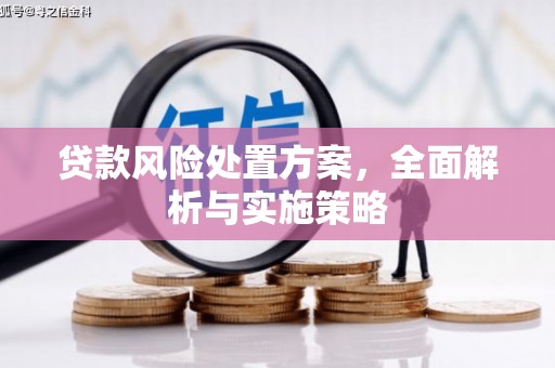 武隆贷款风险处置方案，全面解析与实施策略