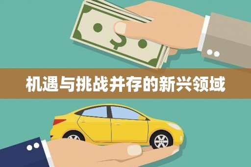 武隆机遇与挑战并存的新兴领域