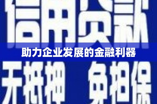 武隆助力企业发展的金融利器