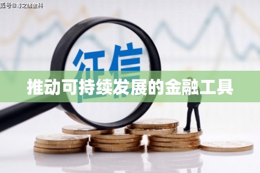 武隆推动可持续发展的金融工具