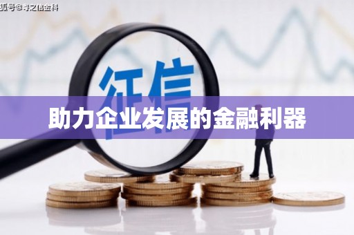 武隆助力企业发展的金融利器