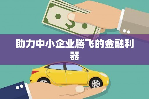 武隆助力中小企业腾飞的金融利器