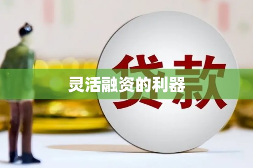 武隆灵活融资的利器