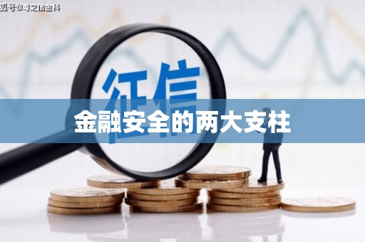 武隆金融安全的两大支柱