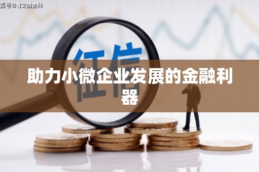 武隆助力小微企业发展的金融利器