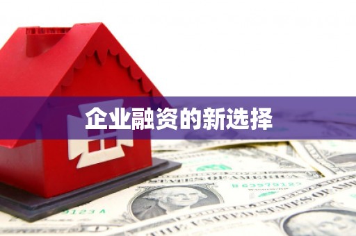 武隆企业融资的新选择