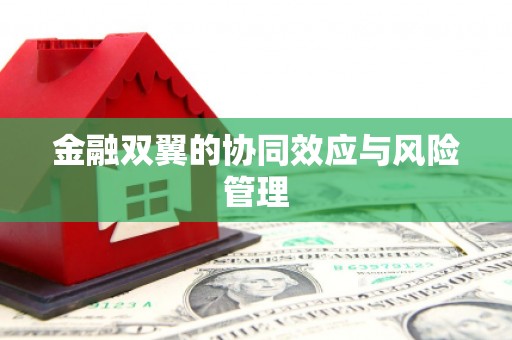 武隆金融双翼的协同效应与风险管理