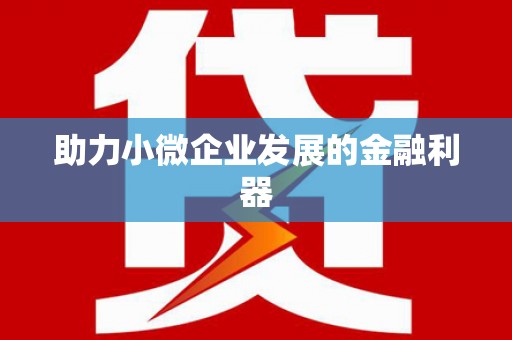 武隆助力小微企业发展的金融利器