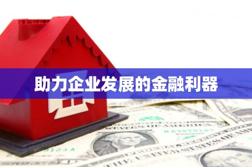 武隆助力企业发展的金融利器